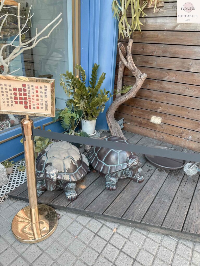 胖鬣蜥城市特寵餐廳