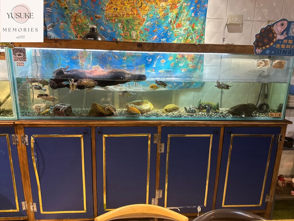 胖鬣蜥城市特寵餐廳