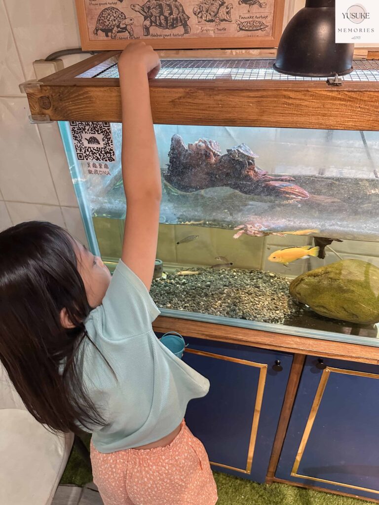 胖鬣蜥城市特寵餐廳