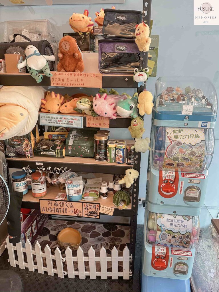 胖鬣蜥城市特寵餐廳