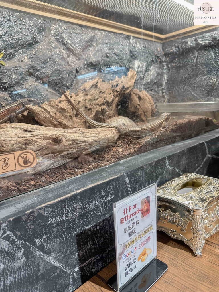 胖鬣蜥城市特寵餐廳