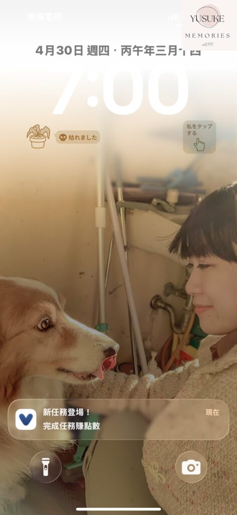 Viewpoints使用方式