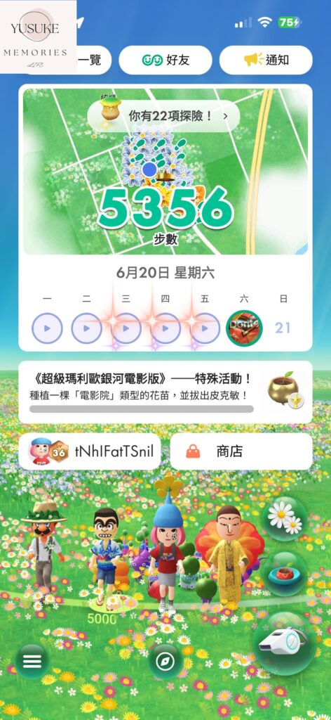 皮克敏介紹