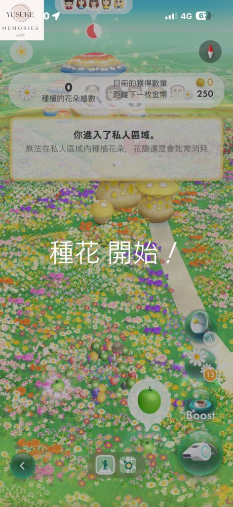 皮克敏介紹