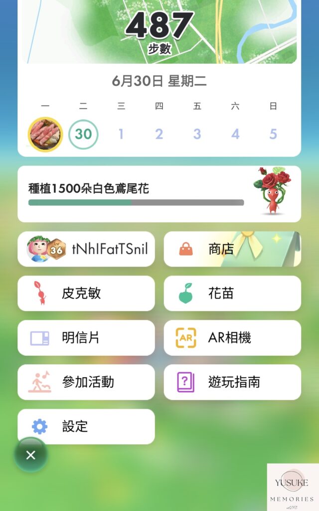 皮克敏介紹