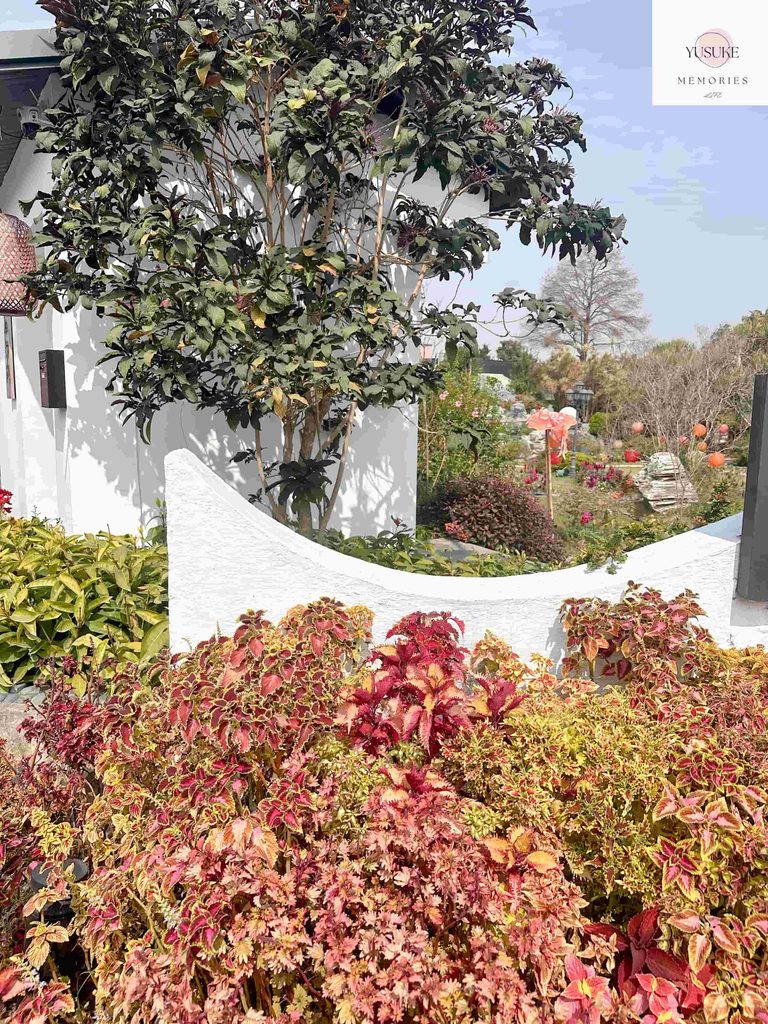 花佈院